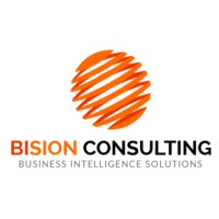 BIsion Consulting logo