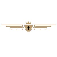 American Aircraft Maintenance logo