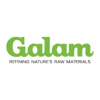Galam LTD logo