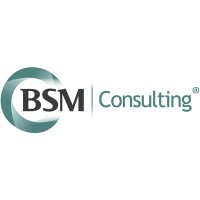 BSM Consulting logo