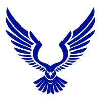 Blue Eagle Roofing And Construction logo