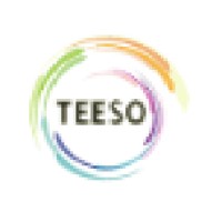 TEESO logo