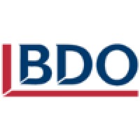 BDO Botswana logo