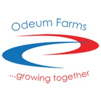 Image of Odeum Farms