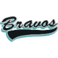 Bravos De Margarita Baseball Club logo
