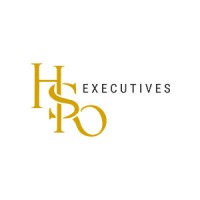HSO Executives Inc. logo
