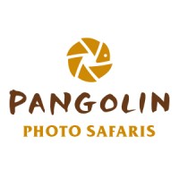 Pangolin Photo Safaris logo