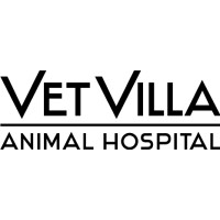 Image of Vet Villa Animal Hospital