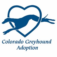 Colorado Greyhound Adoption logo