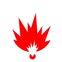 Forze Explosive Services logo