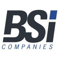BSI Companies logo
