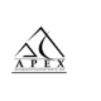 Apex Insurance Agency Intl Inc logo