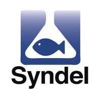 Syndel logo