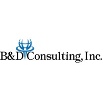 B&D Consulting, Inc. logo