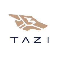 Image of TAZI AI Systems