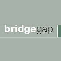 Bridgegap Ltd logo