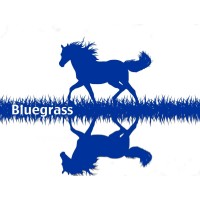 Bluegrass Energy Services logo