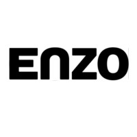 Enzo Wealth logo