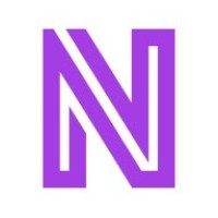 The Nerve Network logo