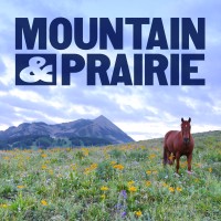 Mountain & Prairie Media logo