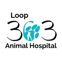 Loop 363 Animal Hospital logo