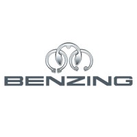 Hugo Benzing GmbH & Co. KG logo