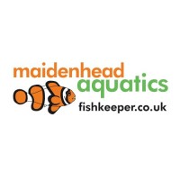 Image of Maidenhead aquatics