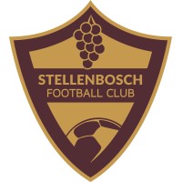 STELLENBOSCH FOOTBALL CLUB logo