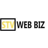 STV WEB BIZ logo