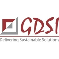GDSI Limited logo