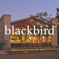 Blackbird Collective logo