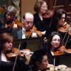 Detroit Symphony Musicians logo