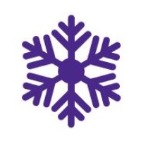 Snowflow AI logo