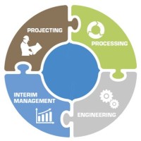 Flexoline GmbH - Projecting - Processing - Engineering & Int. Management logo