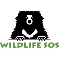 Wildlife SOS logo