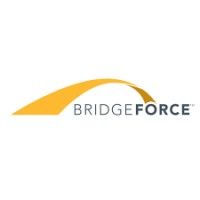 Bridgeforce LLC logo
