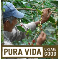 Pura Vida Coffee logo