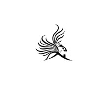 Phoenix Loans logo