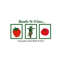 Bush-N-Vine logo