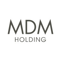 MDM Group Holding logo