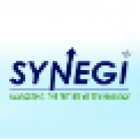 Synegi logo