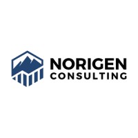 Norigen Consulting logo