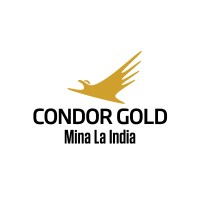 CONDOR GOLD PLC logo