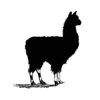 Black Llama Foods logo