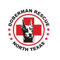 Doberman Rescue Of North Texas logo