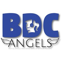 BDC Angels LLC logo