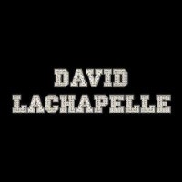 David LaChapelle Studios Inc. logo