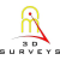 3D Surveys logo