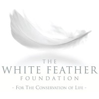 The White Feather Foundation logo