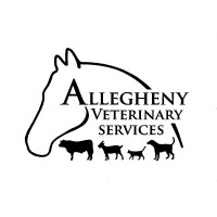 Allegheny Equine Veterinary Service, PLLC logo